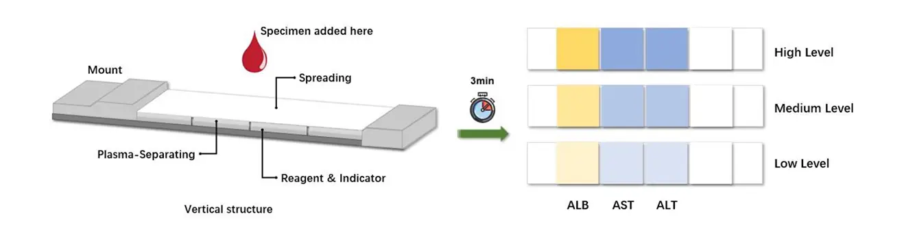 A novel, low-cost paper-based liver function point-of-care system